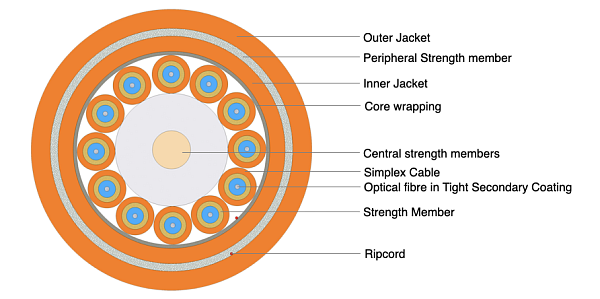 Universal Breakout Cable - Double Jacket 12F